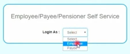 Download CFMS Employee Salary Slip