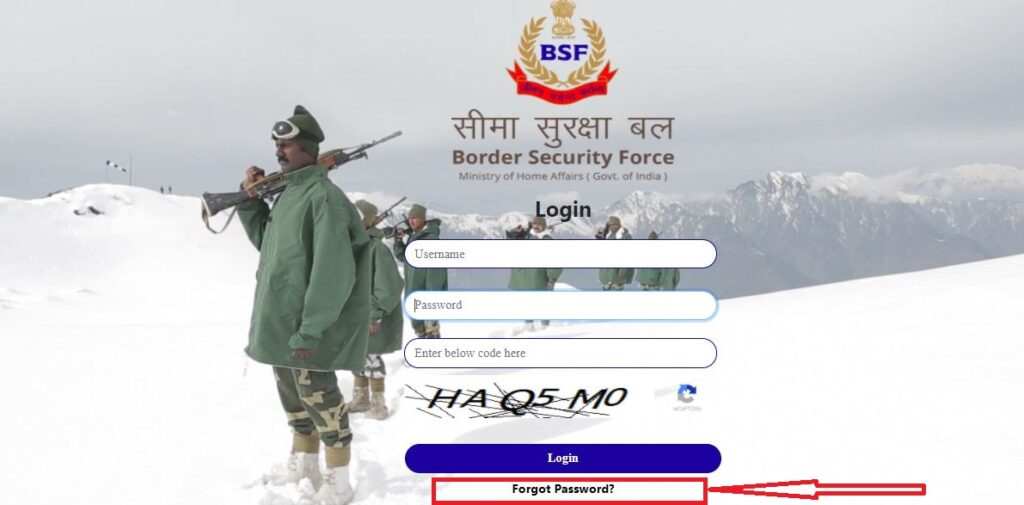 bsf pay slip forgot password