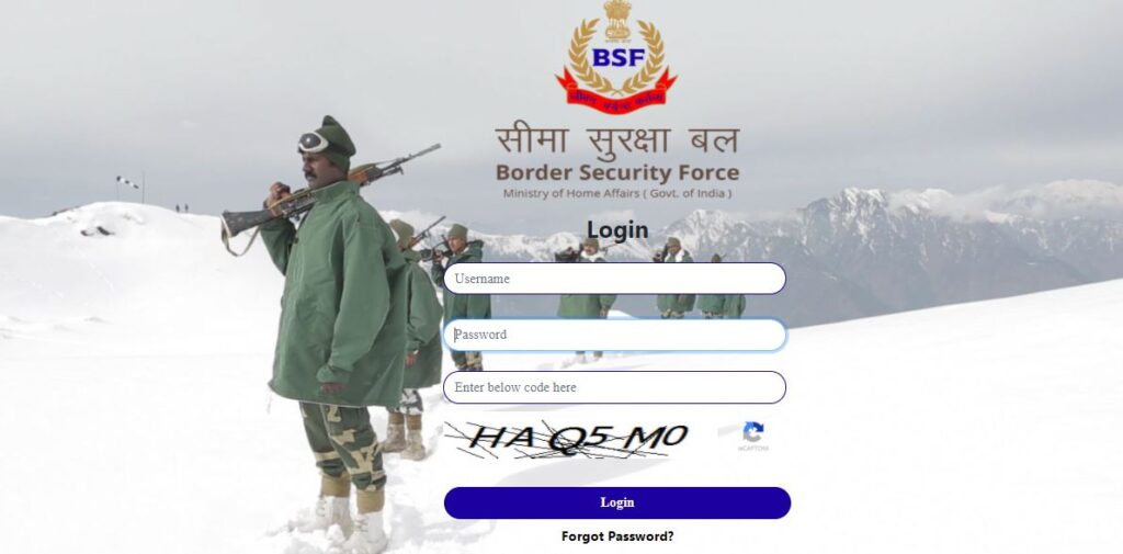 bsf pay slip login